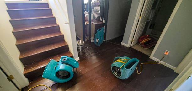 Best 24/7 water damage repair  in Sandston, VA