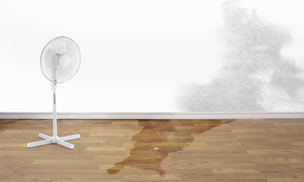  Sandston, VA Water damage restoration Pros