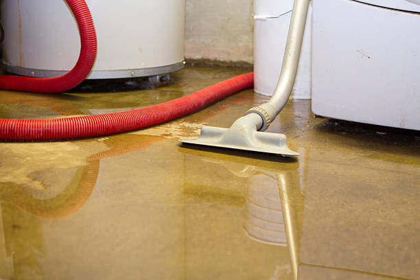 Best 24-hour water damage restoration  in Sandston, VA
