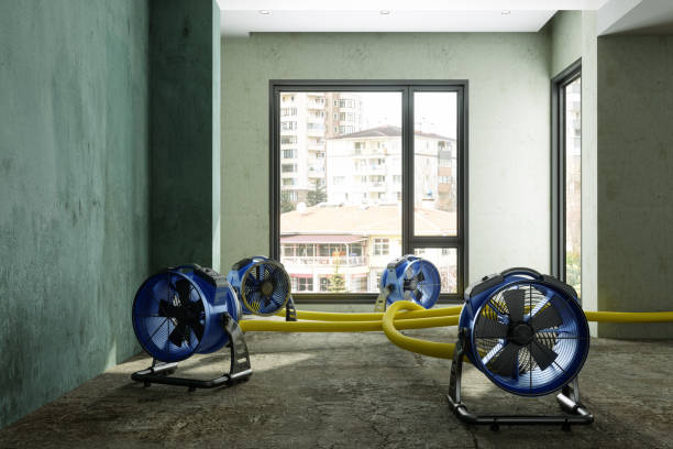 Trusted VA Water damage restoration Experts